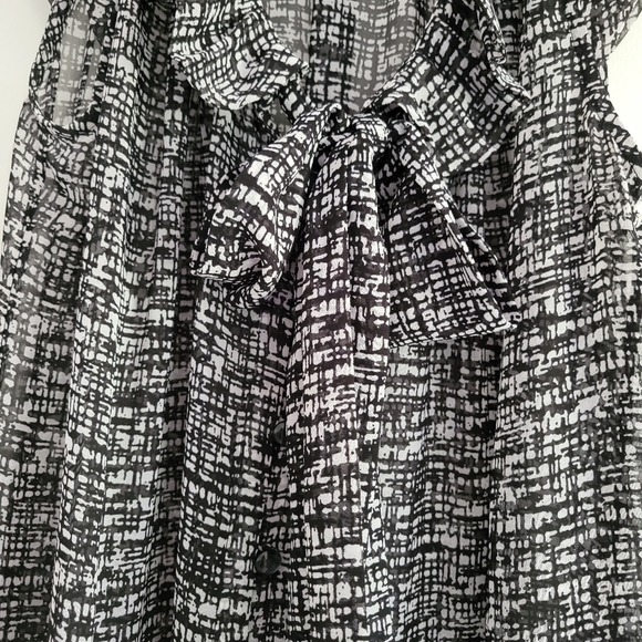 Banana Republic Sleeveless Ruffle Front Tie Sheer Blouse‎ Top M - Picture 2 of 8